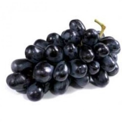 Fresh Black Grapes, Packaging Type : Plastic Bag