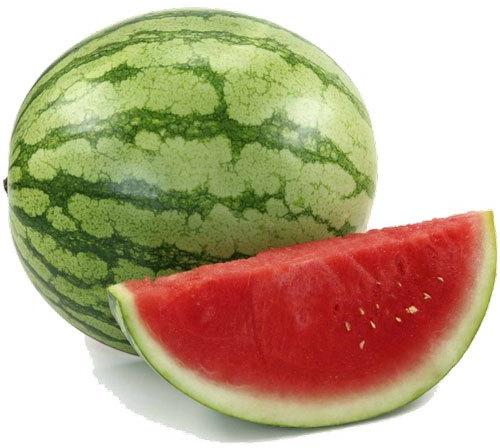 Natural Fresh Watermelon, For Human Consumption, Shelf Life : 5-7 Days