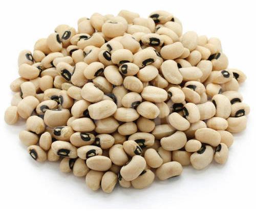 Raw Natural Cowpea Seeds, For Human Consumption, Grade Standard : Food Grade