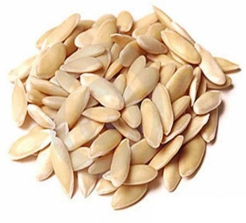 Cucumber Seeds, For Seedlings, Food Industry, Packaging Size : 10-20kg