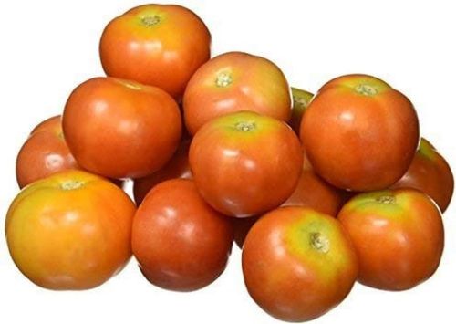 Red Organic Fresh Natural Tomato, For Cooking, Packaging Type : Plastic Crates