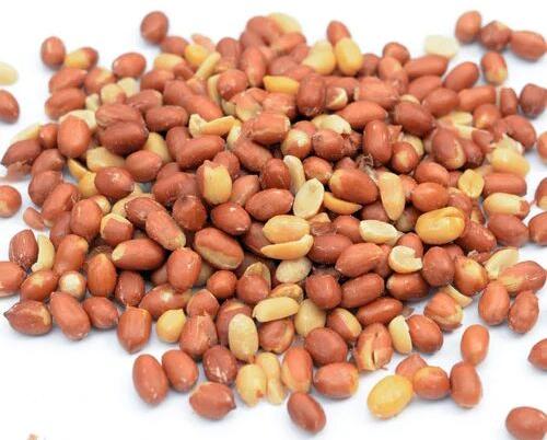 Redskin Salted Peanut, Features : Protein Source