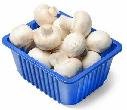 White Indian Button Mushroom, For Cooking