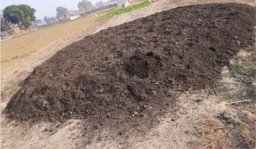 Black-brown Organic Cow Dung Vermicompost, For Agriculture, Purity : 99.9%