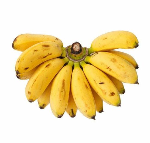 Natural Fresh Karpuravalli Banana, Packaging Type : Plastic Crate