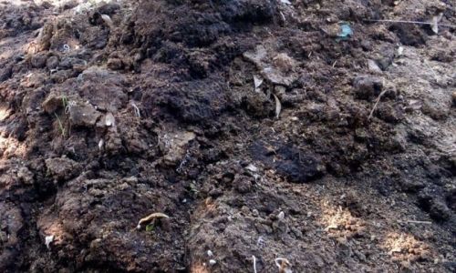 Dark Brown Pure Cow Dung Manure, For Agricultural Purpose
