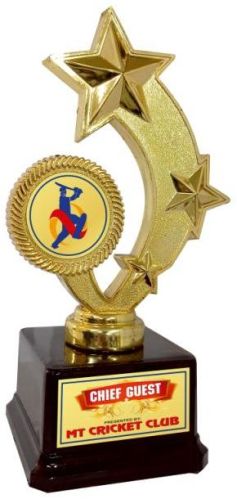 Polished Fiber Star Trophy Trophy, For Award Use