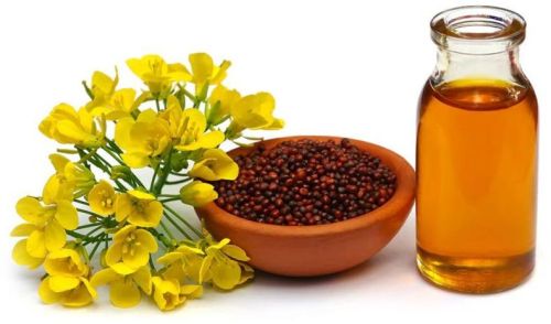Cold Pressed Mustard Oil, For Cooking, Extraction Type : Machine