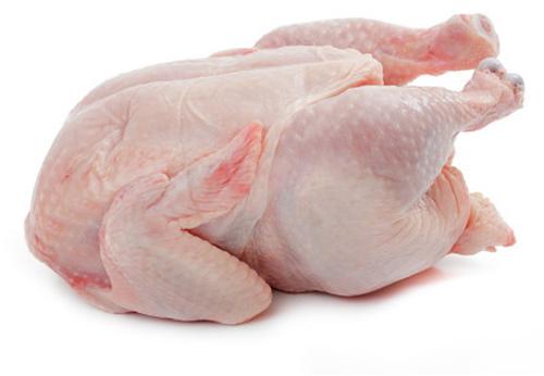 Red Manjara Poultry Fresh Whole Chicken Meat, For Food, Packaging Type : Plastic Poly Bag