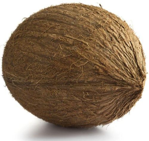 Hard Organic Natural Brown Coconut, For Pooja, Medicines