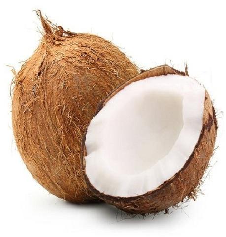 Hard Organic Brown Coconut, For Pooja, Medicines