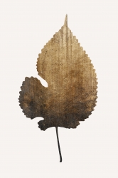 Square Polished Leaf Decorative Wall Frame, Style Type : Antique, Color : Yellow