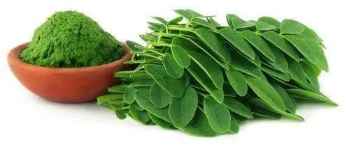 Natural Moringa Leaf Powder, Style : Dried