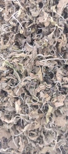Natural Dry Tulsi Leaves, Packaging Size : Plastic Packet
