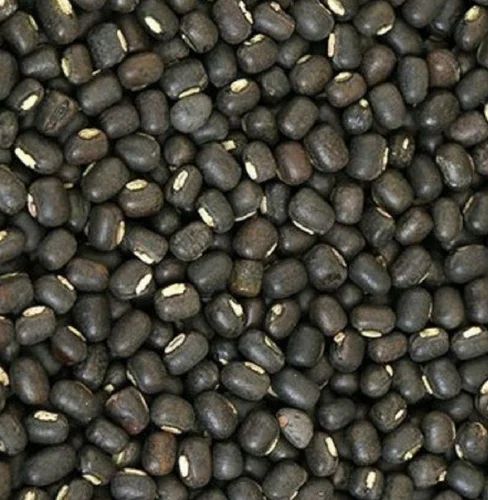 Black Urad Dal, For Cooking, Certification : FSSAI Certified