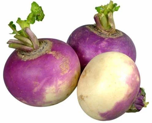 Pink-white Fresh Turnip, For Food, Speciality : High In Protein