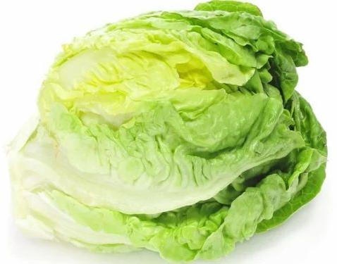 Lettuce Iceberg, For Cooking, Packaging Size : 20-30kg