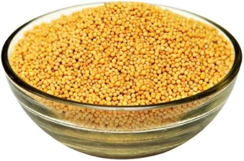 Yellow Mustard Seeds, For Cooking