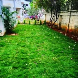 Lawn Development Services