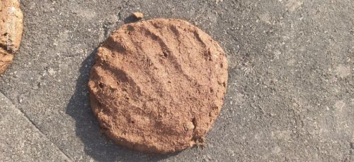 Aashu Enterprises Organic Cow Dung Cake, For Fuel, Worship