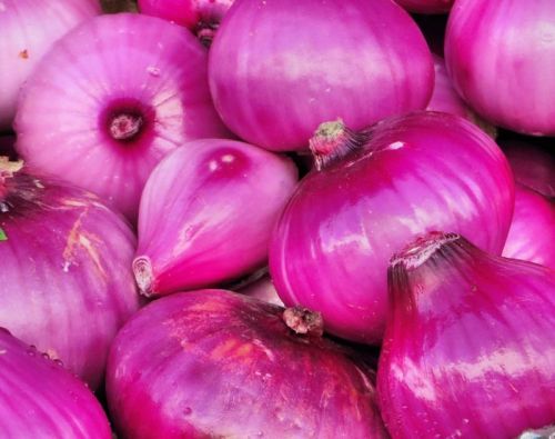 Natural Pink Onion, For Human Consumption, Packaging Size : 20 Kg