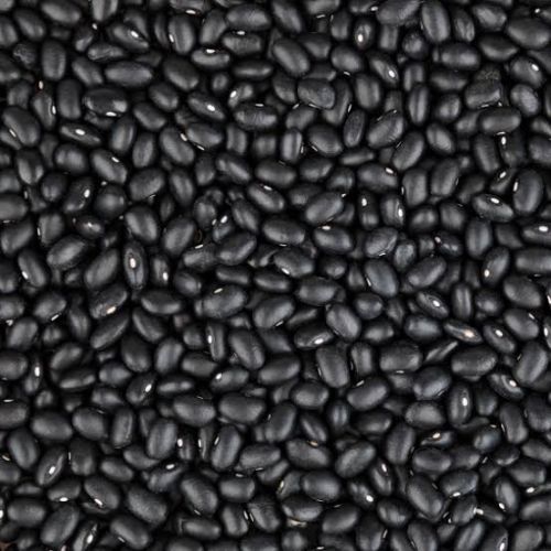 Black Kidney Beans, Size : 8MM PLUS