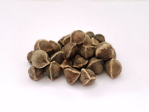 10kg Raw Organic Morings Seeds, For Pharmaceutical, Grade Standard : Medicine Grade