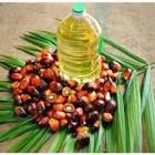 Cold Pressed Palm Oil, For Cosmetics, Shelf Life : 6months