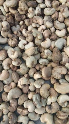 Powder Curve Raw Cashew Nuts In Shell, For Food, Snacks, Sweets, Certification : FSSAI Certified