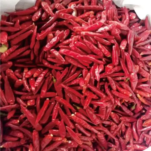 Red Chilli, For Cooking, Spices Human Consumption, Making Pickles, Human Consumption, Culinary, Medicinal