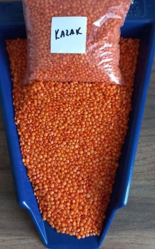 Natural Red Split Lentils, Brand Name : PTZC54WG, Moisture : 10%