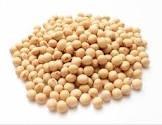 Soybean Meal, For Cattle Feed, Packaging Size : 50kg