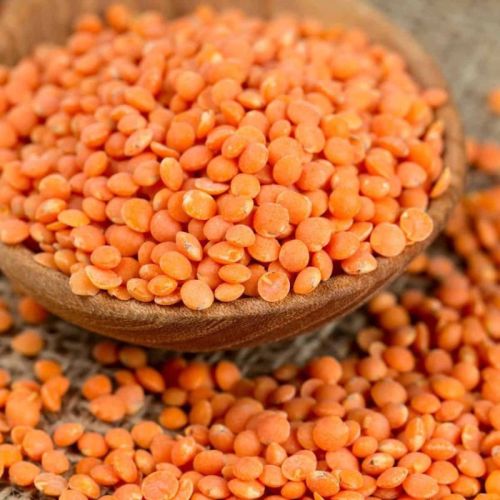 PTZC54WG Whole Red Lentil, Packaging Type : Packets