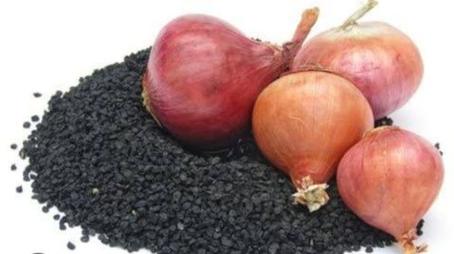 Black Organic Onion Seeds, For Agriculture, Shelf Life : 6 Month