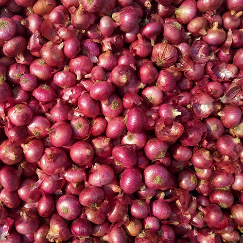 Onion, Packaging Type : Red, Packaging Size : 50kg