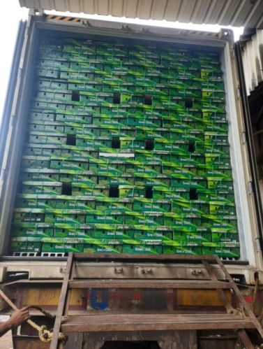 Gavri Green Chilli, For Human Consumption, Size : 5-6 Cm