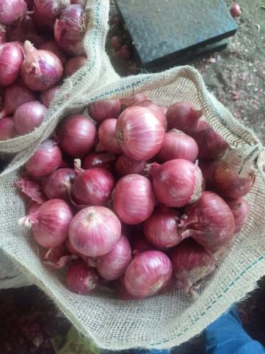 Red Onion, For Cooking, Storage Tips : Dry