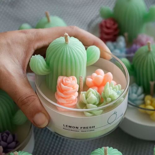 Mini Cactus Candles, For Party, Lighting, Decoration, Speciality : Attractive Pattern, Moisture Resistance