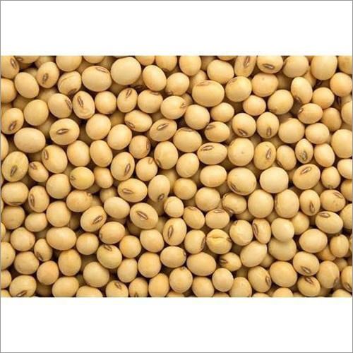 Organic Soya Bean Seeds, For Animal Feed, Beverage Drinks, Cooking, Flour, Human Consumption, Style : Dried