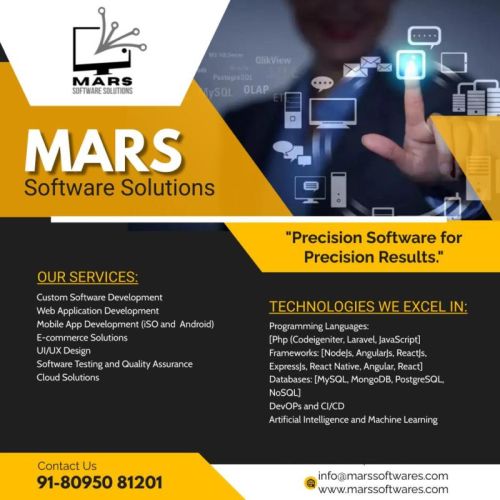 MARS Software Solutions Custom Web Application Development Services