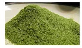 Moringa Leaf Powder, Packaging Type : Plastic Bag