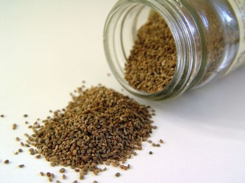 Brown Common Carom Seeds, For Food Medicine, Spices, Packaging Type : Plastic Packet
