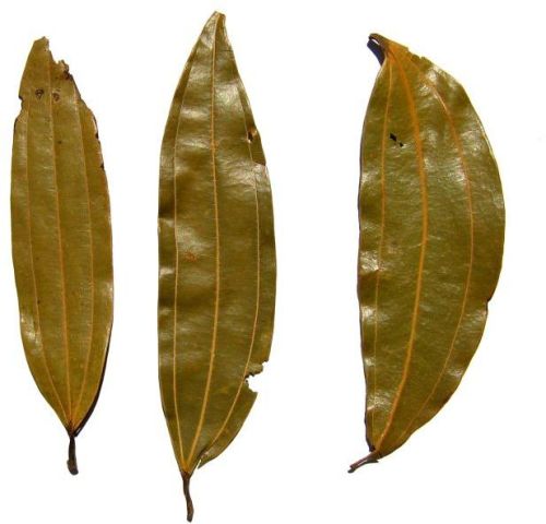 Brown Dried Bay Leaves, Packaging Type : Plastic Packet