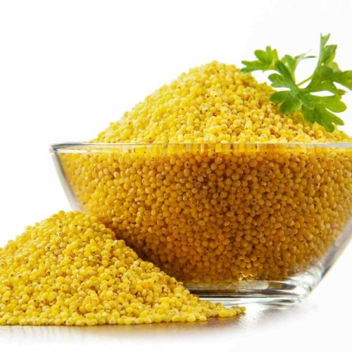 Yellow Common Natural Proso Millet, For Cooking, Cattle Feed, Variety : Dried