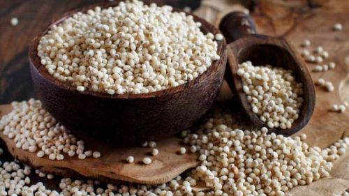 White Common Natural Sorghum Seeds, For Cooking, Style : Dried