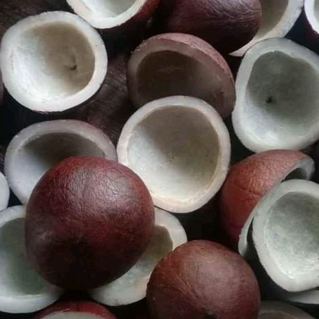 Half Natural 25 Dry Coconut Copra, For Oil, Cooking, Ayurvedic Formulation, Taste : Sweet