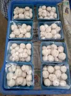 White Organic Fresh Button Mushroom, For Cooking, Packaging Type : Plastic Box