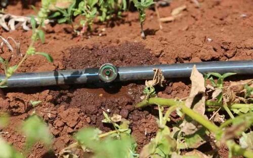 Japneet Irrigation System LLDPE Garden Drip Line