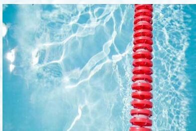 DGM PP Pool Lane Divider, Length : 10-15 Meter