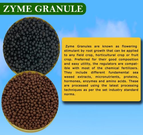 Zyme Granule, Purity : 99%